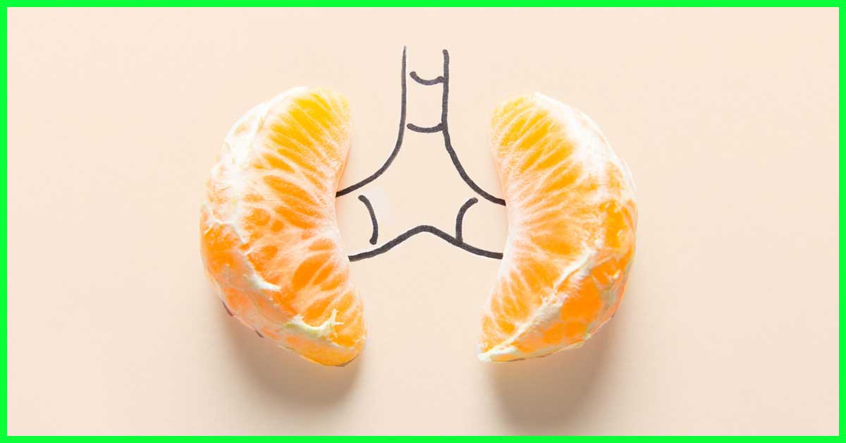 Orange depicting kidneys