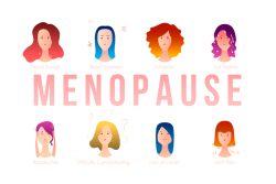 The effects of menopause on a female’s body