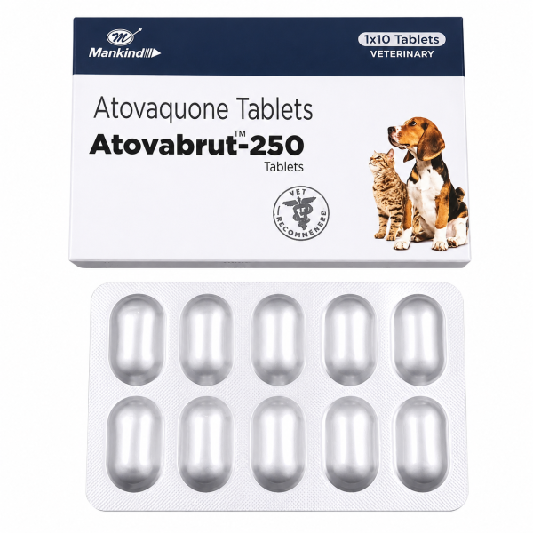 A pack and a strip of Generic Mepron 250mg Tablets
