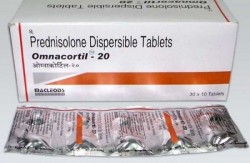 A box and a strip of generic Prednisone 20mg Tablets