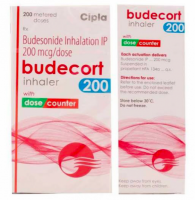 Front and back of the box of generic Budesonide 200mcg